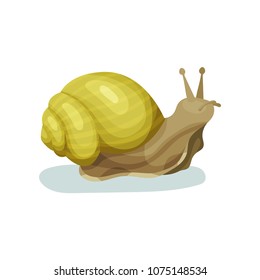 Snail gastropod mollusk with yellow shell vector Illustration on a white background