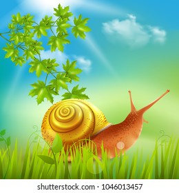Snail in grass field sun bathing realistic composition with maple branch outdoor nature summer vector illustration 