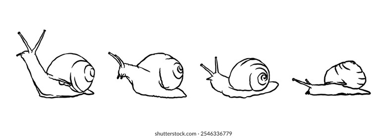 Snail hand drawn sketch collection vector illustration