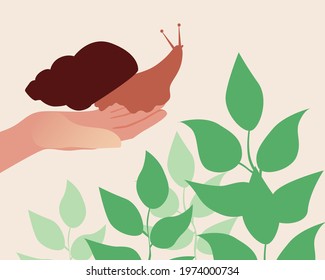 Snail in hand, plant leaves. Flat vector stock illustration. Eco friendly Snail farm in the garden. Breeding of shellfish. The shell of a large snail. Green lawn or grass. Vector graphics