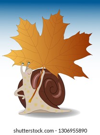 Snail holds an orange maple leaf