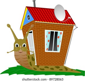 Snail with house on its back