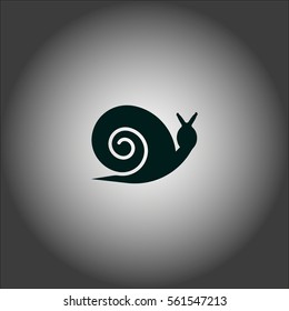 snail icon