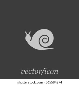 snail icon