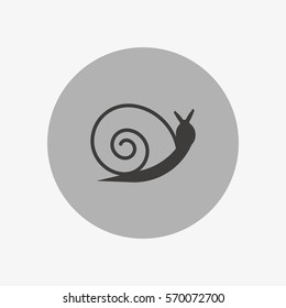 snail icon