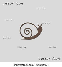snail icon