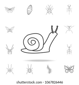 snail icon. Detailed set of insects line illustrations. Premium quality graphic design icon. One of the collection icons for websites, web design, mobile app on white background