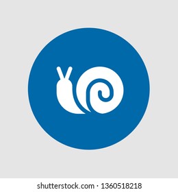  Snail icon. Editable  Snail icon for web or mobile.