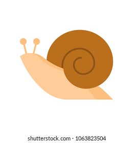 snail icon, flat design vector