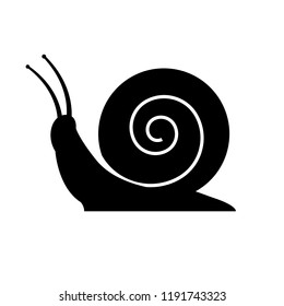 Snail icon, logo on white background