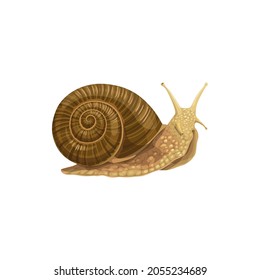 Snail icon, pest control agrarian extermination and vermin disinsection, vector. Isolated snail slug, agriculture pesticide, garden animals disinfestation and pest control service symbol