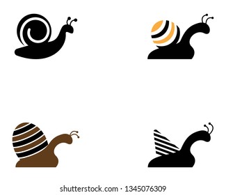 Snail icon vector illustration