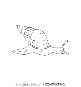 snail icon vector illustration symbol design