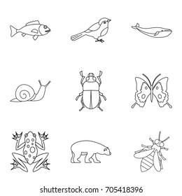 Snail icons set. Outline set of 9 snail icons for web isolated on white background