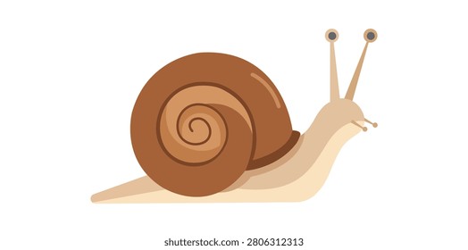 Snail illustration featuring spiral shell and soft body representing wildlife nature biology and garden fauna concepts suitable for education environmental projects and animal themed designs