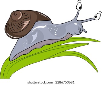 snail illustration on green leaf