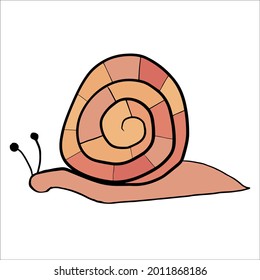  snail. illustration. vector eps 10