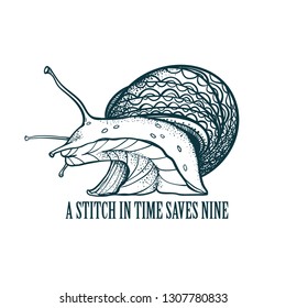 The snail with the inscription "A stitch in time saves nine." Vector snails with shell isolated from the background. Graphic illustration. Can be used as y-shirt print.