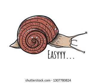 The snail with the inscription "Easyyy..." Vector snails with shell isolated from the background. Graphic illustration. Can be used as y-shirt print.