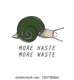 The snail with the inscription "More haste, more waste" Vector snails with shell isolated from the background. Graphic illustration. Can be used as y-shirt print.