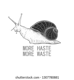 The snail with the inscription "More haste, more waste" Vector snails with shell isolated from the background. Graphic illustration. Can be used as y-shirt print.