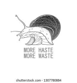 The snail with the inscription "More haste, more waste" Vector snails with shell isolated from the background. Graphic illustration. Can be used as y-shirt print.