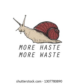 The snail with the inscription "More haste, more waste" Vector snails with shell isolated from the background. Graphic illustration. Can be used as y-shirt print.