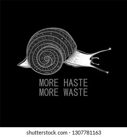 The snail with the inscription "More haste, more waste" Vector snails with shell isolated from the background. Graphic illustration. Can be used as y-shirt print.