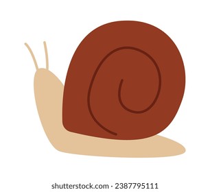 Snail Insect Icon Vector Illustration