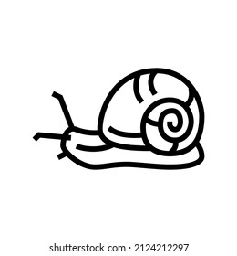 snail insect line icon vector. snail insect sign. isolated contour symbol black illustration