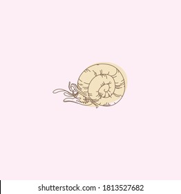 insecto caracol. esbozo lineal. icono