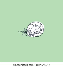 snail insect. linear sketch. icon