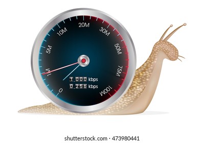 snail with internet speed test meter