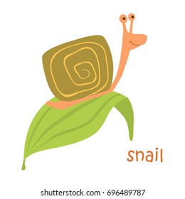 Snail isolated. Drawing snail for a child