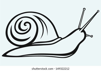 Snail isolated on blue background