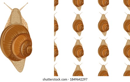 Aislado en fondo blanco e ilustración perfecta