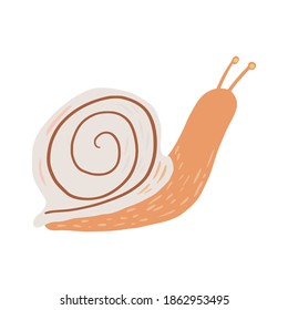 Schnecke einzeln auf weißem Hintergrund. Hübscher Cartoon-Charakter in doodle-Stil, Vektorgrafik.