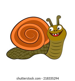 Snail isolated on white background