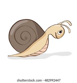 Snail isolated on white background