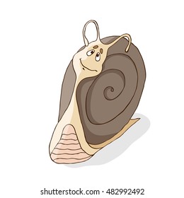 Snail isolated on white background