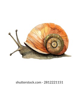 Snail with large brown shell and extended antennae
