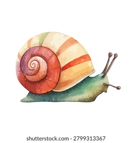 Snail with large colorful shell slowly moving