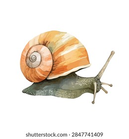 Snail with large orange shell