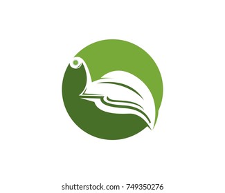 Snail in leaf logo design template