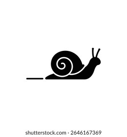 Caracol Deixando Trilha de Slime no Chão em Ambiente Úmido