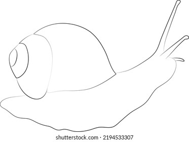 Snail Line Art Coloring Page