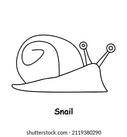 Snail Line Art Illustration Animal Vector