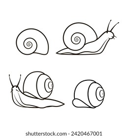 Vector de arte de línea de caracol aislado en fondo blanco. Vector de icono de caracol.