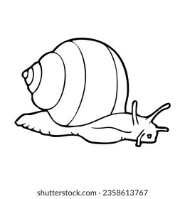snail line vector illustration,isolated on white background,top view