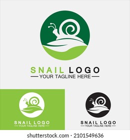 Snail Logo creative modern design inspiration vector